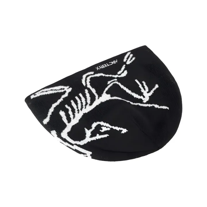 Arcteryx Шапка — фото 4